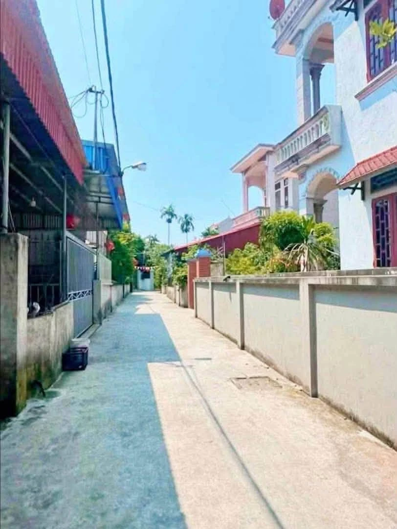 Bán đất Hậu Bổng Gia Lộc 90m2, giá 6 tỷ - Ảnh thu nhỏ 4