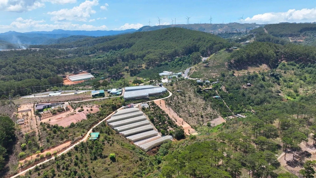 Bán đất mặt tiền QL20 Đà Lạt 11.242m2, giá 20 tỷ - Ảnh thu nhỏ 2