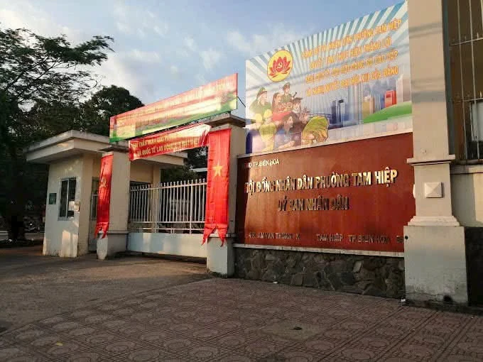 Bán lô đất 145m² hai mặt tiền Tân Hiệp - Ảnh 1