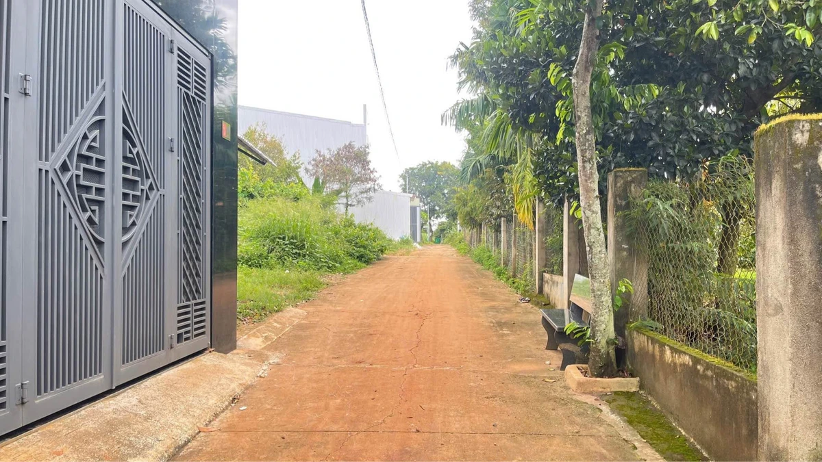 Bán lô đất Hẻm Mậu Thân Phường Tân An, 107.5m², 970 triệu - Ảnh thu nhỏ 2