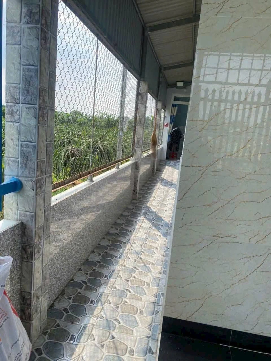 Bán nhà cấp 4 Hòa Phú, 2PN, 134m², 890 triệu - Ảnh thu nhỏ 3