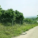 Bán đất vườn view hồ Trị An 1.178m² Định Quán - Ảnh thu nhỏ 4