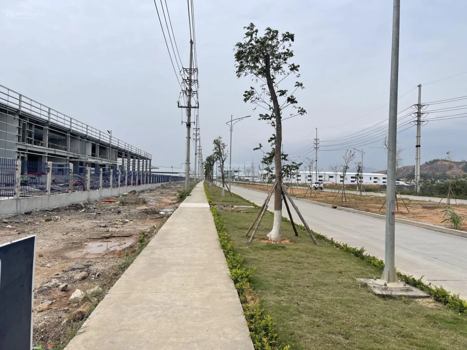 Diện tích đất: 5.000m2. Không gian rộng rãi, thông thoáng. Hạ tầng sẵn có, sạch đẹp. Bàn giao ngay - Ảnh thu nhỏ 4