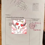 Bán đất nền Lâm Đồng 291m² 250 triệu Hàm Phú - Ảnh thu nhỏ 1