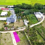 Bán đất góc Diên Lạc 130m² ngang 6m - 950 triệu - Ảnh thu nhỏ 4