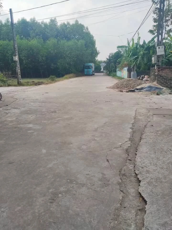 Bán 2 lô đất 280m² xã Quang Trung 2 tỷ - Ảnh thu nhỏ 3