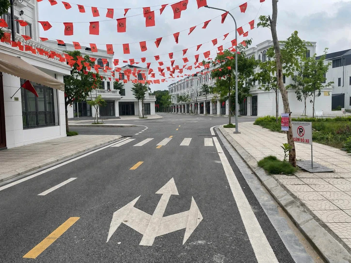Bán đất nền 85m² mặt tiền 5m khu nhà ở xã hội Minh Phương - Ảnh thu nhỏ 3