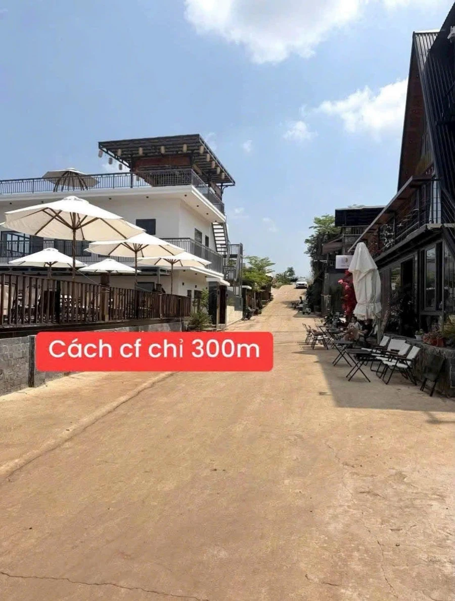 Bán lô đất 15x35m làm nhà vườn gần đồi Hoàng Hôn, đường Y Moan - Ảnh thu nhỏ 2