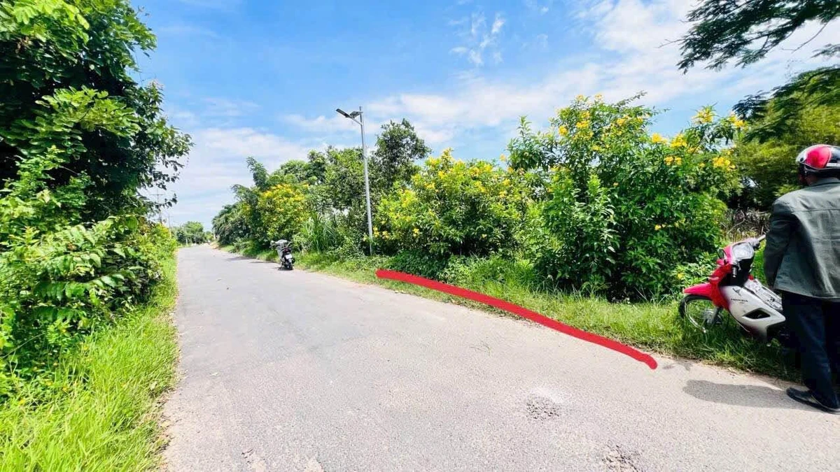 Bán đất thổ cư 11x45 mặt tiền đường nhựa gần Vinhomes Grand Park - Ảnh thu nhỏ 4