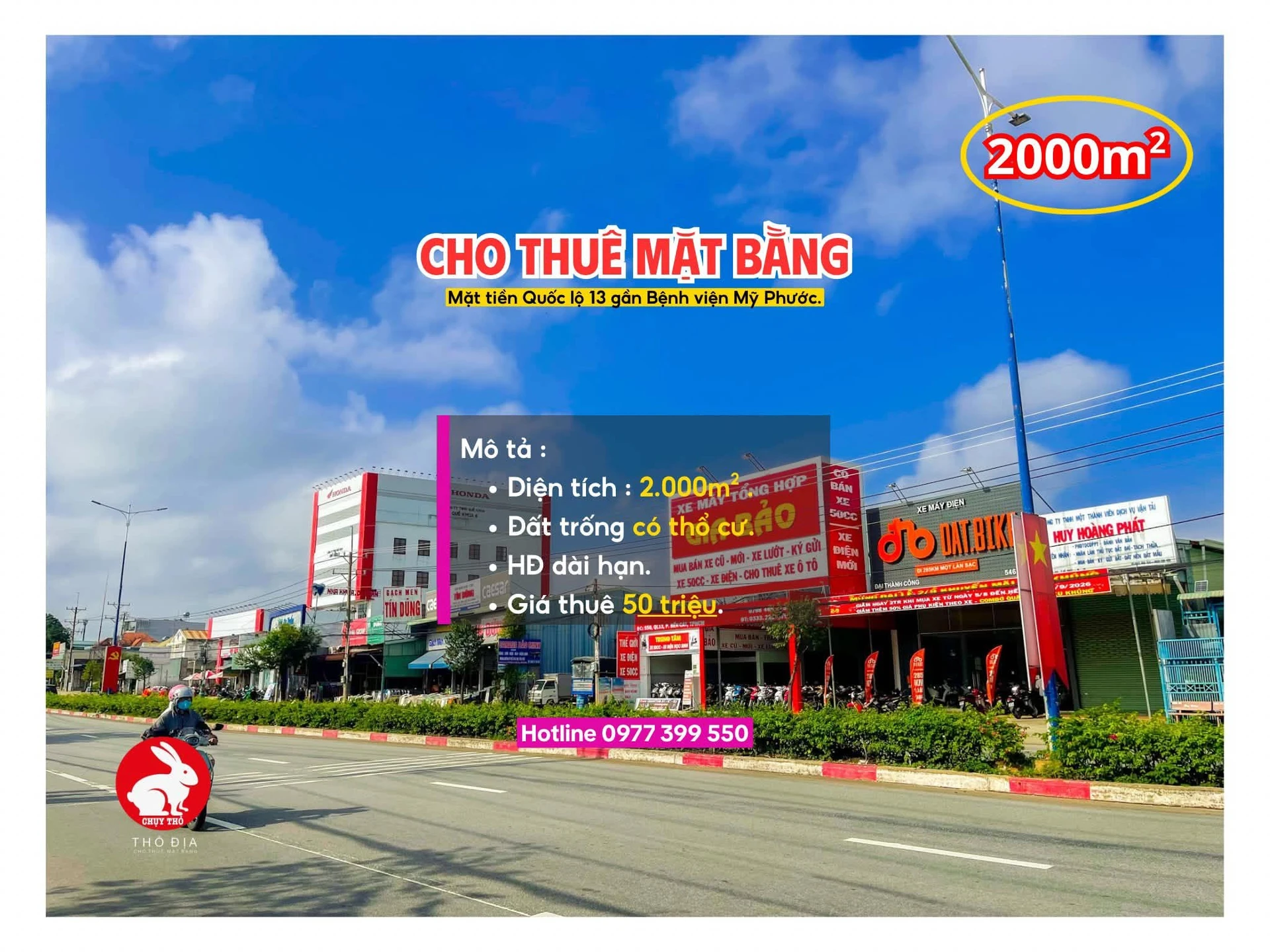 Cho thuê mặt bằng 2000m² Mỹ Phước, Bến Cát 50 triệu/tháng - Ảnh 1