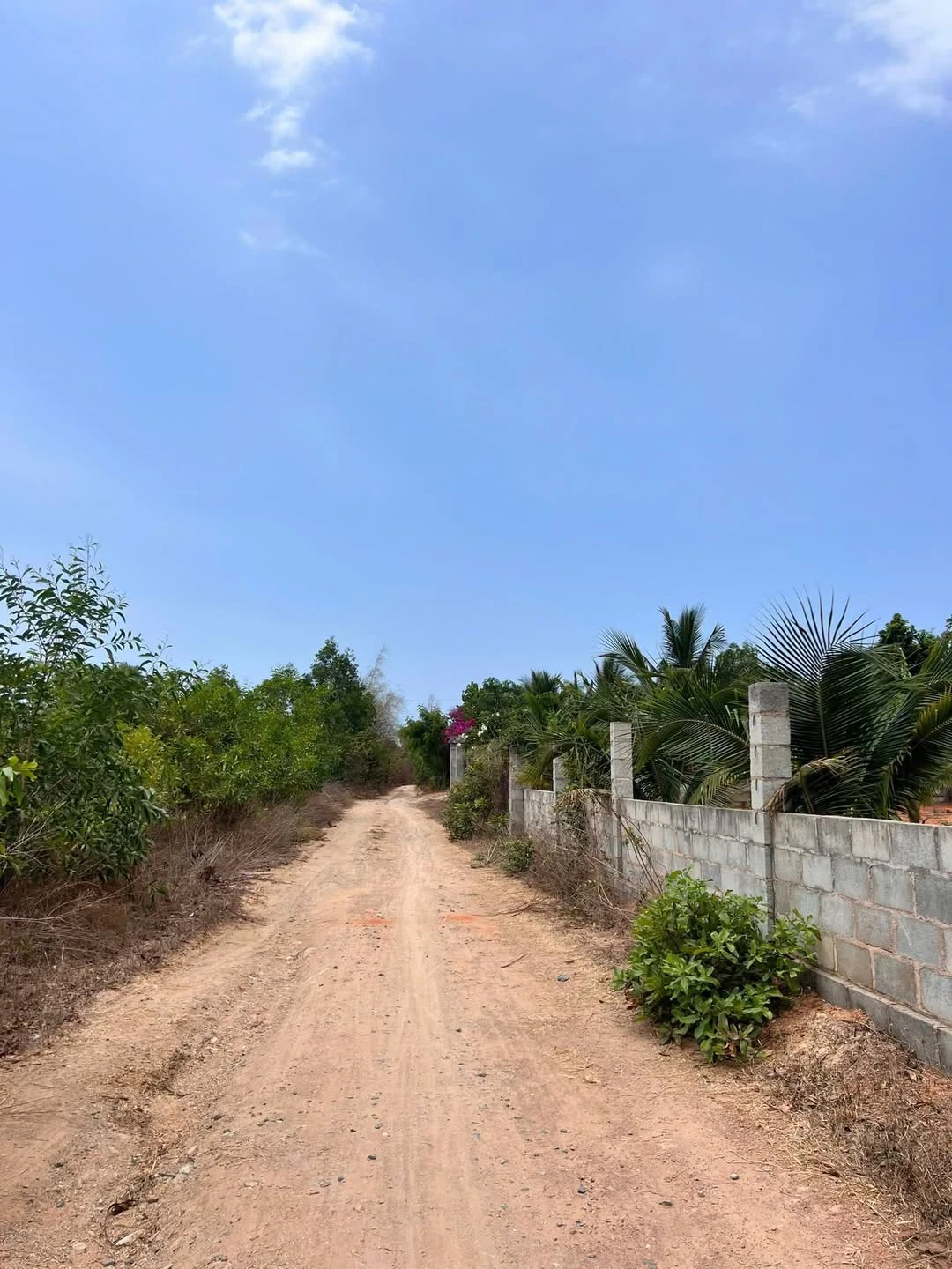 Bán đất Thiện Nghiệp 5 sào 7 giá 1 tỷ - Ảnh 1