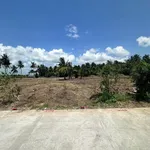Bán đất mặt tiền Trương Định 150m² view kênh - Ảnh thu nhỏ 2