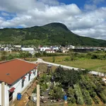 Bán đất 184m2 có 100m2 thổ cư chân đèo Prenn, Đà Lạt, giá 950 triệu - Ảnh thu nhỏ 2