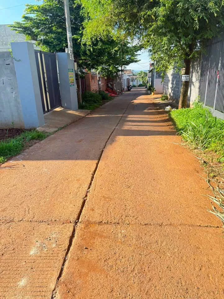 Bán đất 100m² Hẻm 442/29 Bình Chánh 2,39 tỷ - Ảnh thu nhỏ 4