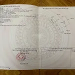 Đất có sổ đỏ đang sử dụng trồng hoa màu - Ảnh thu nhỏ 6
