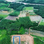 Bán nhà Minh thành khu phố 1, 500m², hơn 600 triệu - Ảnh thu nhỏ 1