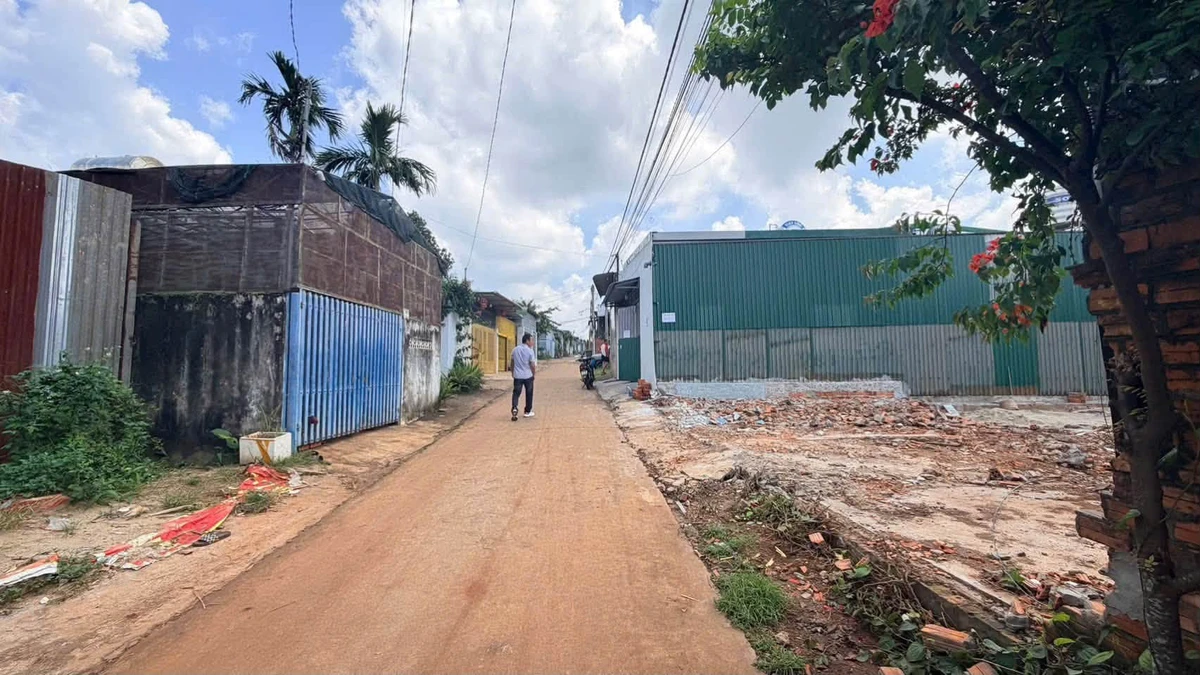 Bán 2 lô đất liền kề thổ cư Phường Tân Lợi, Thủ Đức - Ảnh thu nhỏ 2