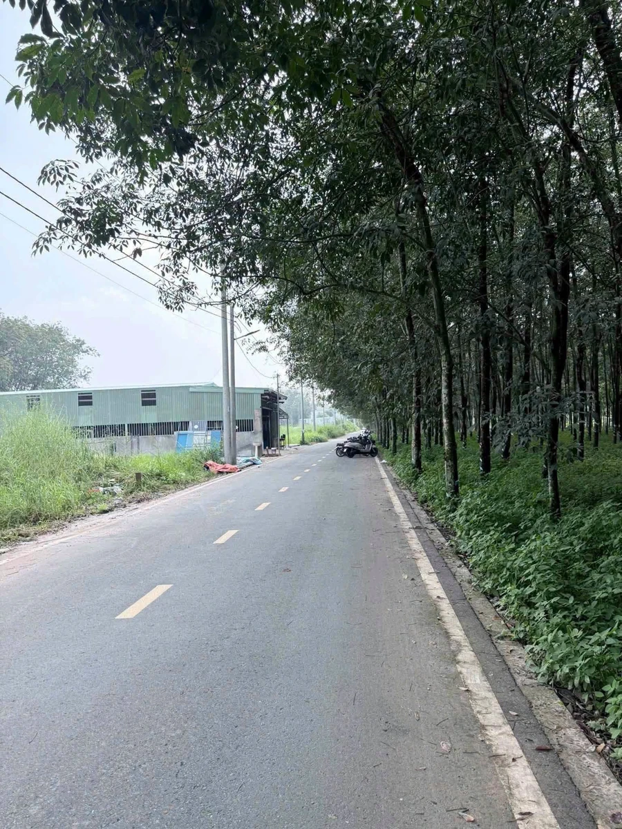Bán liền kề mặt tiền Nhựa Bình Mỹ 240m² 1 tỷ 6 - Ảnh thu nhỏ 2