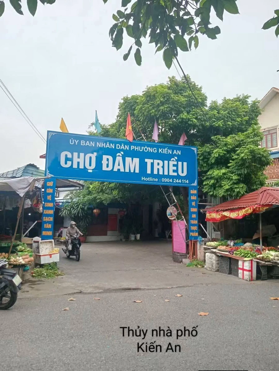 Bán nhà 3 tầng 94m2 Chợ Đầm Triều, Kiến An, Hải Phòng - Ảnh 1