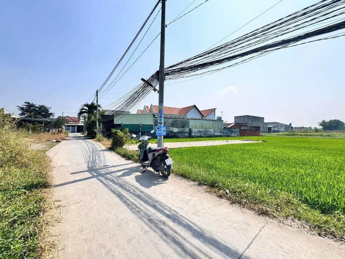Bán đất Đức Hòa Đông 215m² giá 1,19 tỷ - Ảnh thu nhỏ 3
