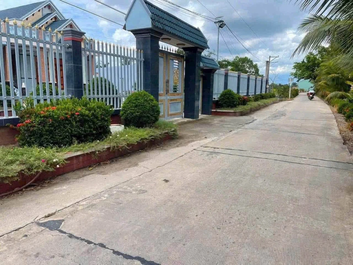 Bán 3000m² đất vườn Thạnh Hòa Bến Lức Long An - Ảnh thu nhỏ 3