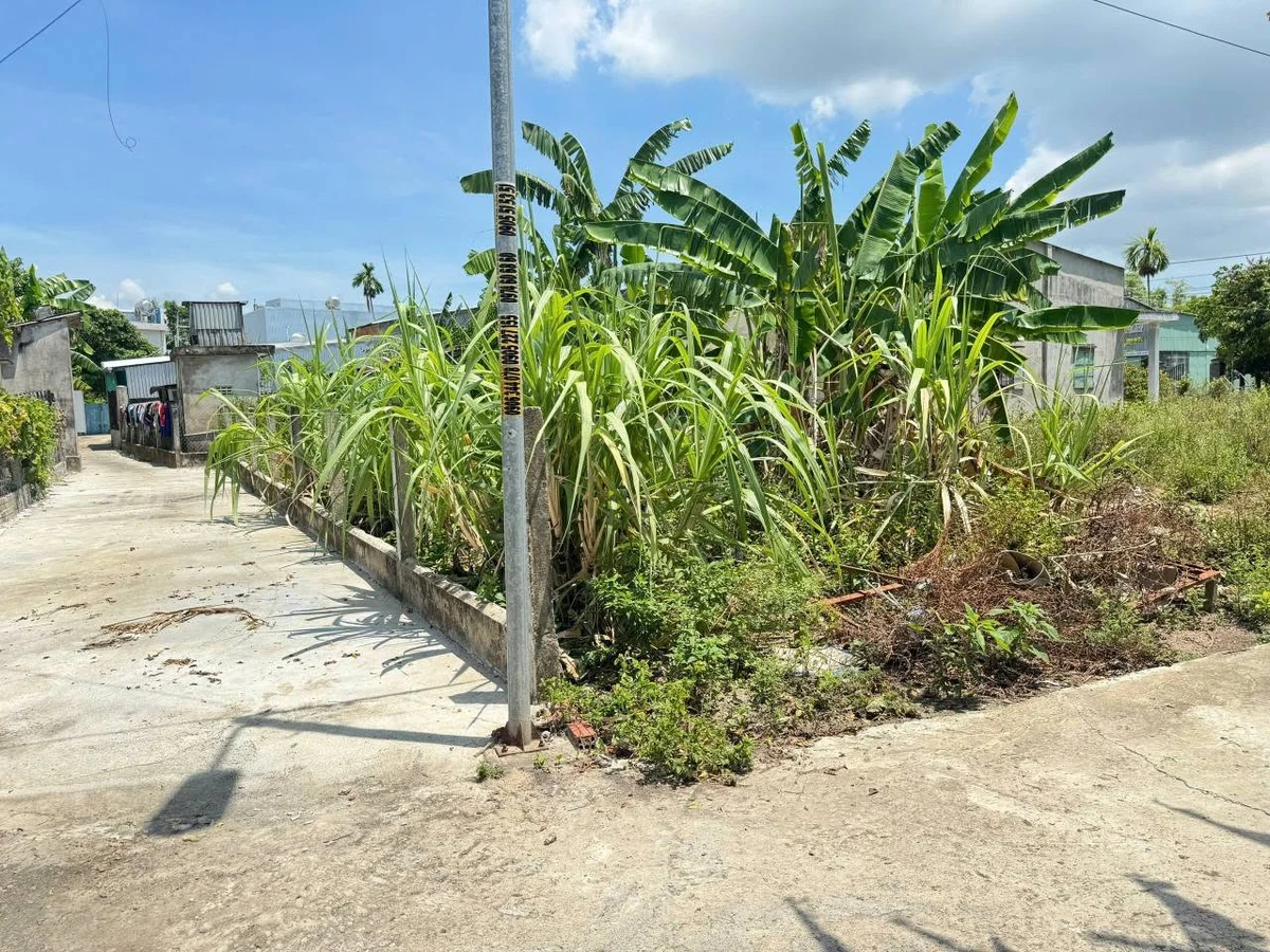 Bán đất Khu phố Điện Thắng, Cần Giờ 105m2, giá 1.1 tỷ - Ảnh thu nhỏ 5