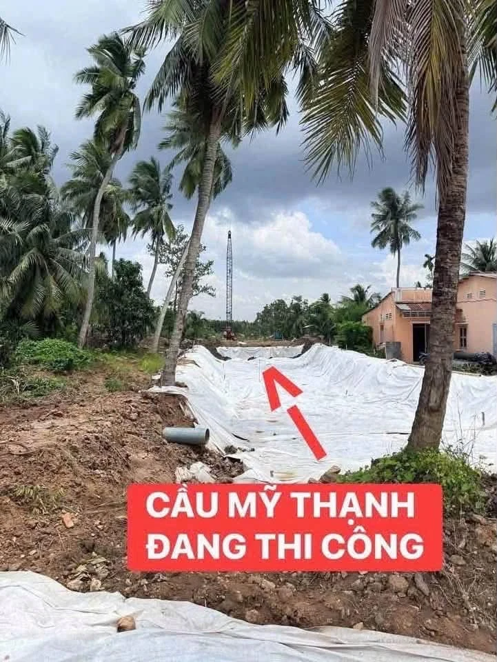 Bán đất mặt tiền Mỹ Thạnh 1.336m² tại Giồng Trôm, Bến Tre - Ảnh thu nhỏ 2