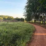 Bán lô đất 10.600m² bazan Bù Đốp - Ảnh thu nhỏ 1