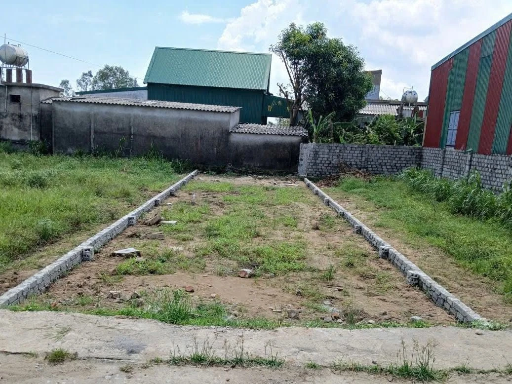Bán đất 100m² Khối Xuân Bình, Phường Vinh Phú, Nghệ An - Ảnh 1
