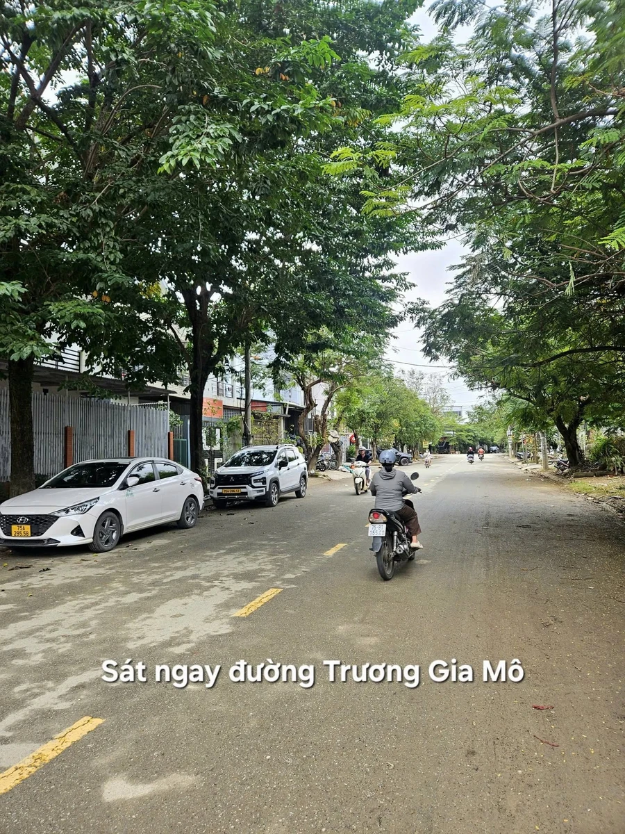 Bán đất mặt tiền Tuy Lý Vương, Vỹ Dạ, Huế 156m² giá 5.46 tỷ - Ảnh thu nhỏ 5
