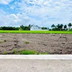 Bán đất góc 2 mặt tiền Tân Trụ Long An 125-185-370m² - Ảnh thu nhỏ 3