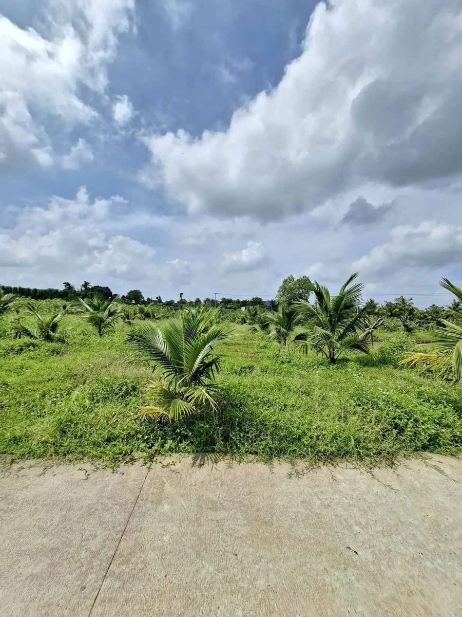 Bán đất 1.000m² view núi, mặt tiền 37m, có 200m² thổ cư và ao tại Bảo Vinh, Đồng Nai - Ảnh thu nhỏ 2