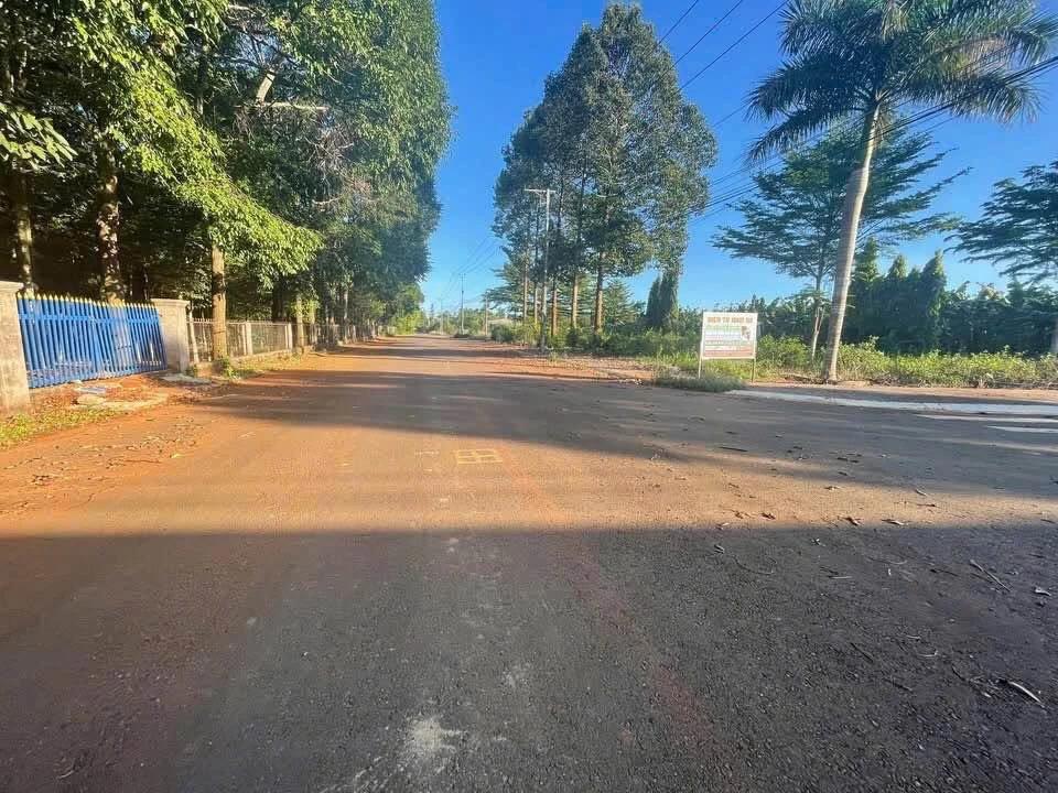 Bán đất Bà Rịa - Vũng Tàu 12.600m² giá 7x tỷ - Ảnh thu nhỏ 3