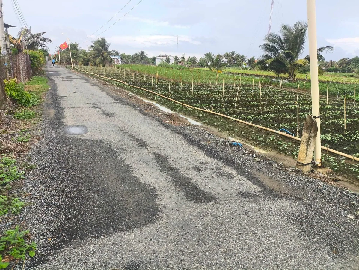 Bán đất mặt đường 750m² Gò Công Đông Tiền Giang 900 triệu - Ảnh 1