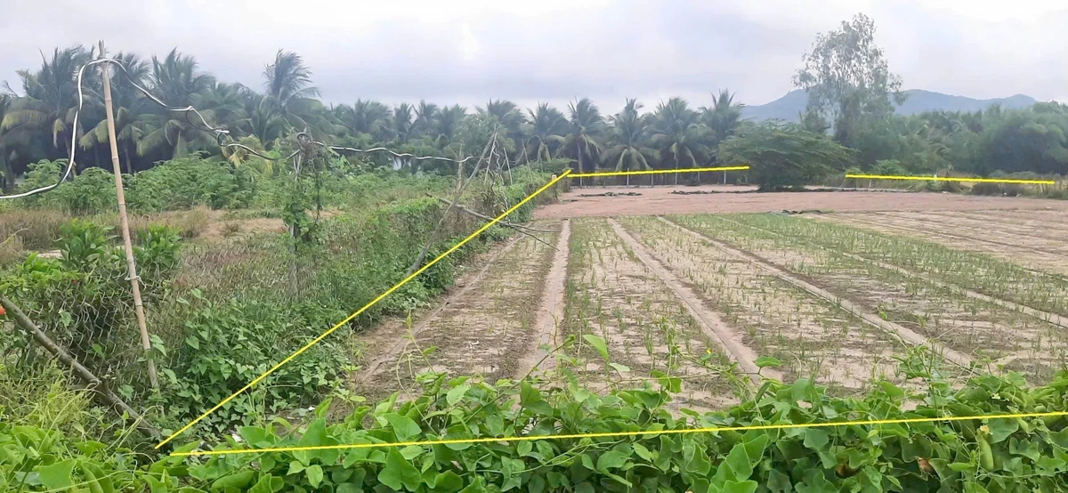 Bán 1.060m2 đất Phước Hải, TP.HCM cũ, giá 2 tỷ - Ảnh thu nhỏ 5