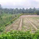 Bán 1.060m2 đất Phước Hải, TP.HCM cũ, giá 2 tỷ - Ảnh thu nhỏ 5