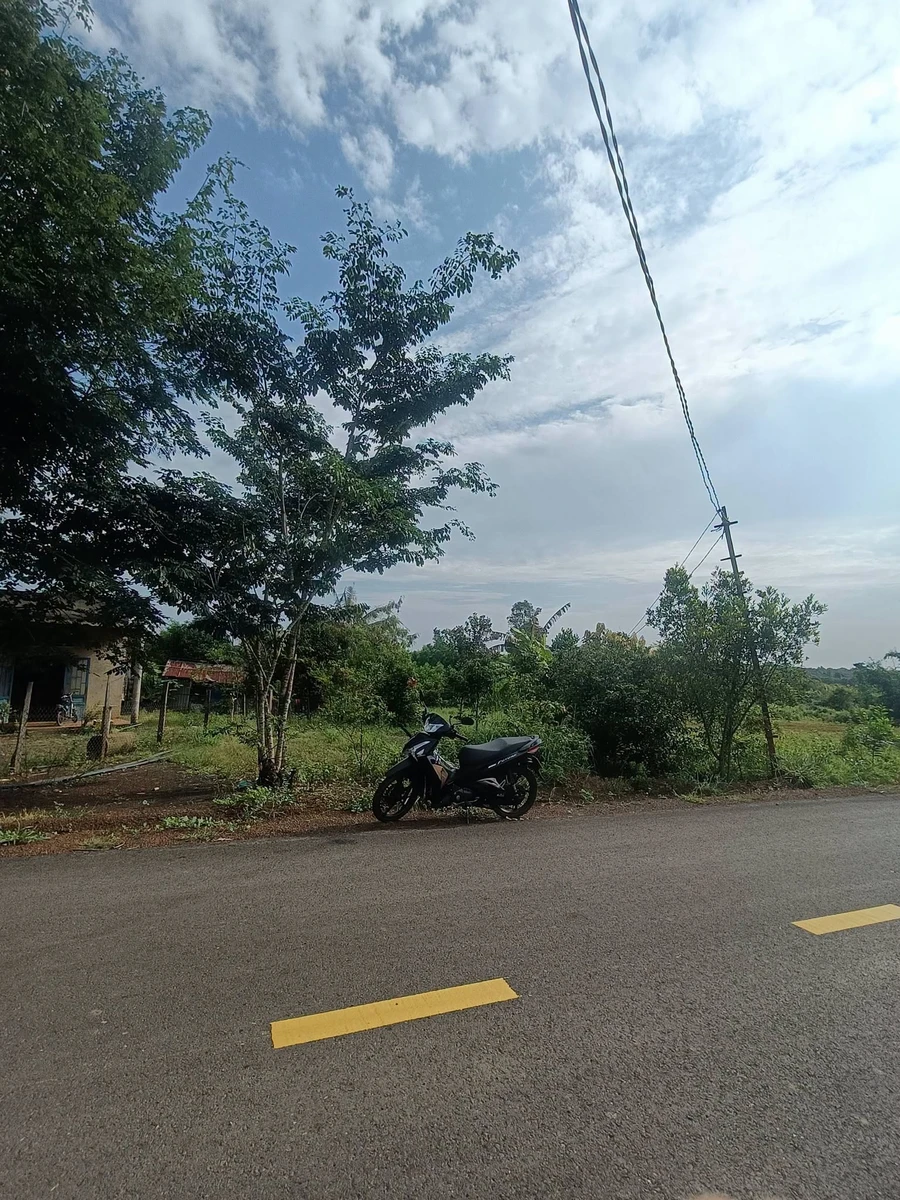 Bán đất 1300m² Xã Tân Tiến, Bù Đốp, Bình Phước - Ảnh thu nhỏ 2