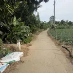 Bán đất cây lâu năm tại Cồn Bà Hoà Xã Bình Thạnh Huyện Châu Thành AG - Ảnh thu nhỏ 6