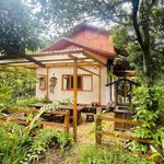 Bán khu homestay 2.320m² Buôn Ma Thuột 9 tỷ 9 - Ảnh thu nhỏ 1