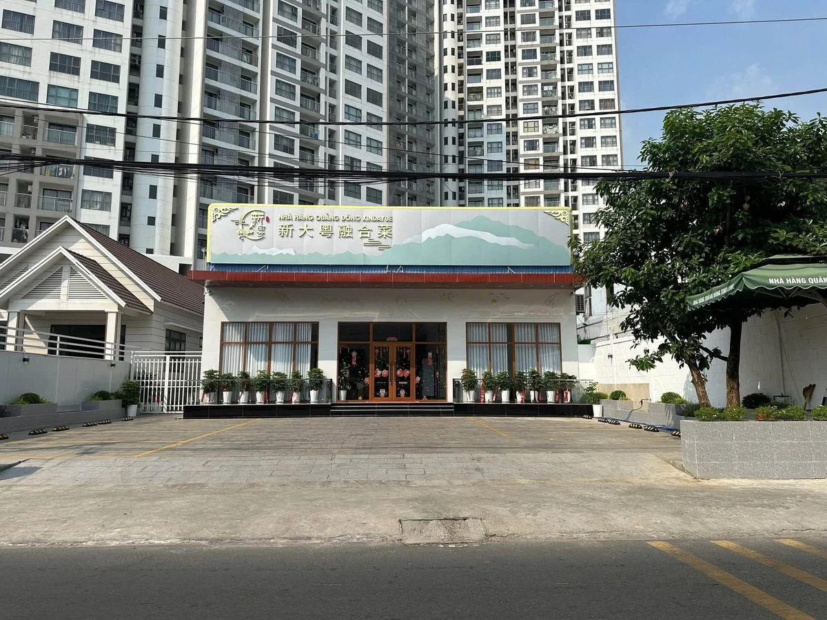 Bán đất mặt tiền Hoàng Văn Thụ 360m² - 70tr/m2 - Ảnh thu nhỏ 3