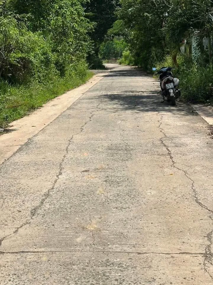 Bán đất Xuân Thọ 5×38m (190m²), 690 triệu, sổ riêng - Ảnh thu nhỏ 2