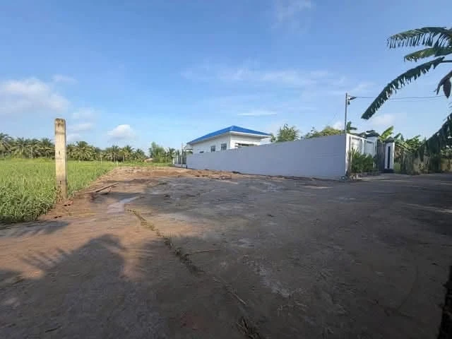 Bán nền đất 350m² Lộ Triền Đồng Phường Phú Tân Bến Tre - Ảnh thu nhỏ 3