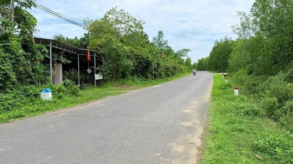 Bán lô đất thổ cư 736m2 tại Khánh Hiệp, Nhà Bè - Ảnh thu nhỏ 3