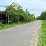 Bán lô đất thổ cư 736m2 tại Khánh Hiệp, Nhà Bè - Ảnh thu nhỏ 3