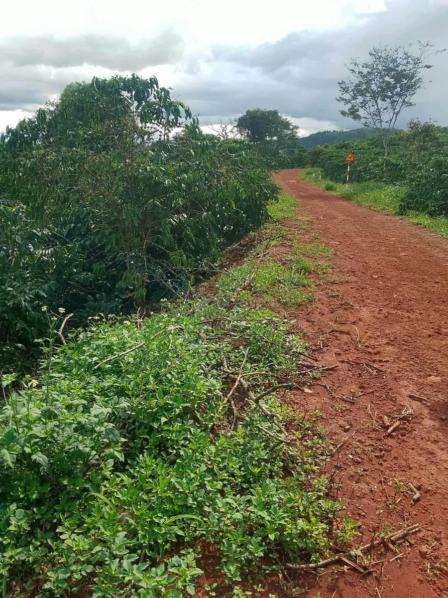 Bán đất vườn Tân Thượng 5300m² QL28 giá 1 tỷ 7 - Ảnh 1