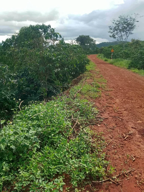 Bán đất vườn Tân Thượng 5300m² QL28 giá 1 tỷ 7