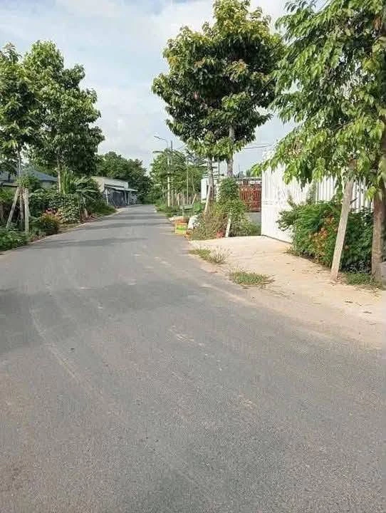 Bán đất 150m² Phú An, Bình Chánh 1,5 tỷ - Ảnh thu nhỏ 5
