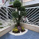 Bán nhà sân vườn sát mặt tiền Trần Cao Vân, 87m², 3PN, giá 4,5 tỷ, Thanh Khê, Đà Nẵng - Ảnh thu nhỏ 1