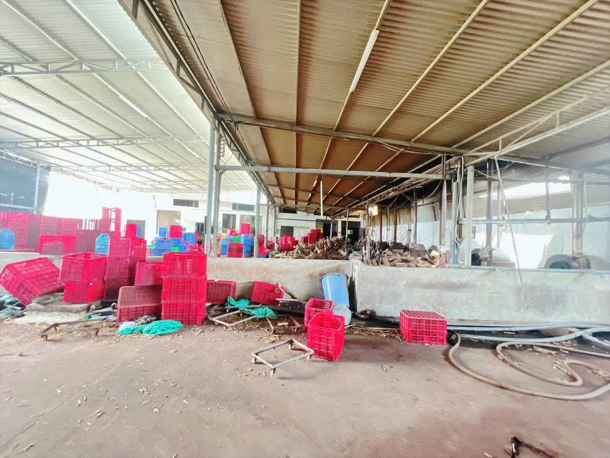 Cho thuê nhà xưởng 4800m2 Gia Kiệm, Đồng Nai 60 triệu/tháng - Ảnh thu nhỏ 4