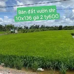 Bán đất vườn Thị Trấn Đức Hoà 1360m², giá 2.599 tỷ - Ảnh thu nhỏ 1